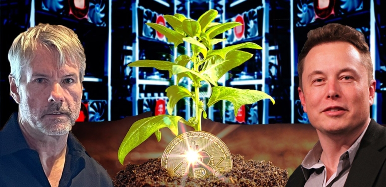 Bitcoin Milyarderinden, Elon Musk’a Kripto Para Tavsiyesi!