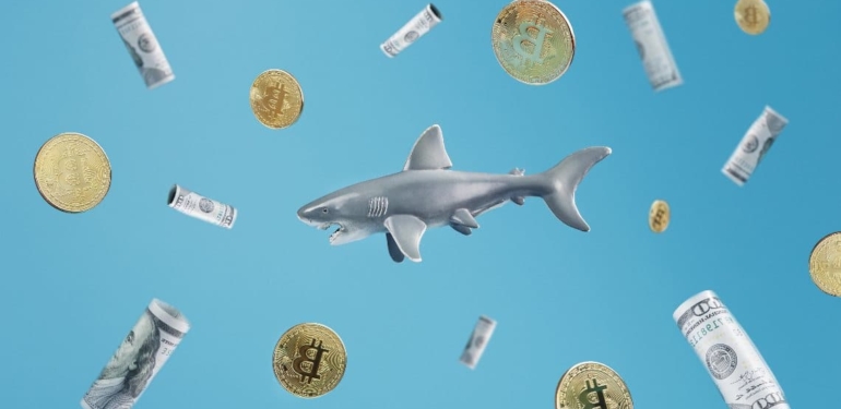 Dikkat: Balinalar Şimdi SHIB ve Bu 9 Altcoin’den Stokluyor!