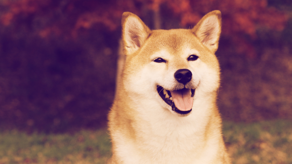 DOGE Değil: Dev Borsanın Başkanı, Bu Meme Coin’i Övdü!