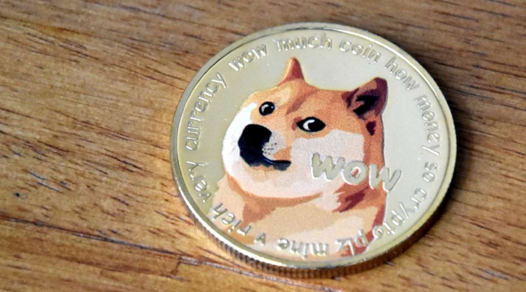 Dogecoin Milyonerinden SHIB ve DOGE Yorumları: 1 Gün Daha…