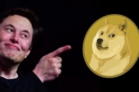 Elon Musk, Yeni Dogecoin (DOGE) Güncellemesinin Önemli Olduğunu Söyledi