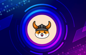 Floki Inu, Hindistan’ın En Çok Takip Edilen Futbol Kulübü ile Ortak Oldu