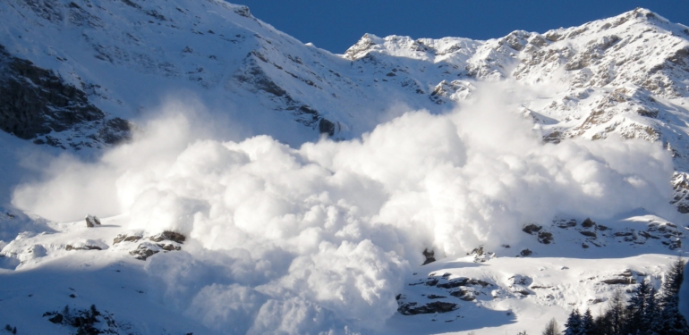 populer-analist-avalanche-avax-rallisinin-devam-edebilecegini-soyledi - Crypto Turkey Popüler Analist, Avalanche (AVAX) Rallisinin Devam Edebileceğini Söyledi