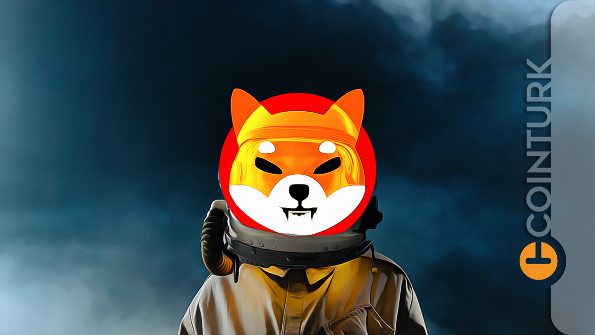 Popüler Meme Coin Shiba Inu, Performansı İle Ön Plana Çıktı: SHIB Analizi