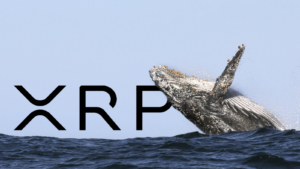 Ripple Balinası Harekete Geçti: On Milyonlarca XRP Çekti!
