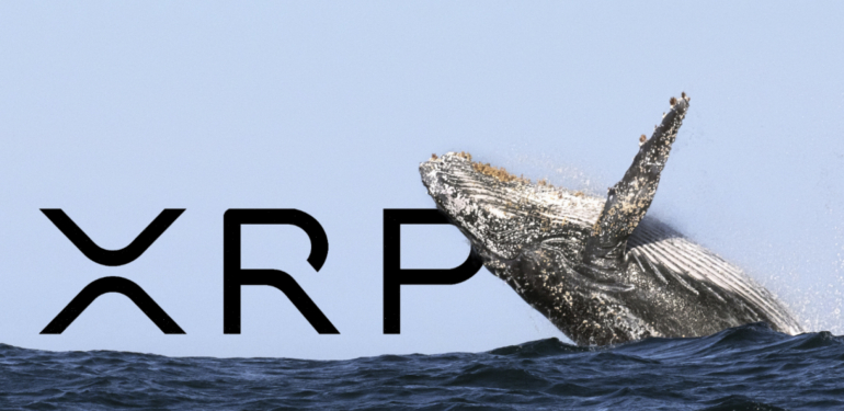 ripple-balinasi-harekete-gecti-on-milyonlarca-xrp-cekti - Crypto Turkey Ripple Balinası Harekete Geçti: On Milyonlarca XRP Çekti!