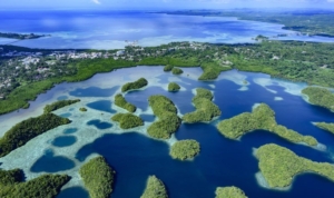 Ripple, Palau Cumhuriyeti ile ortaklık kurdu