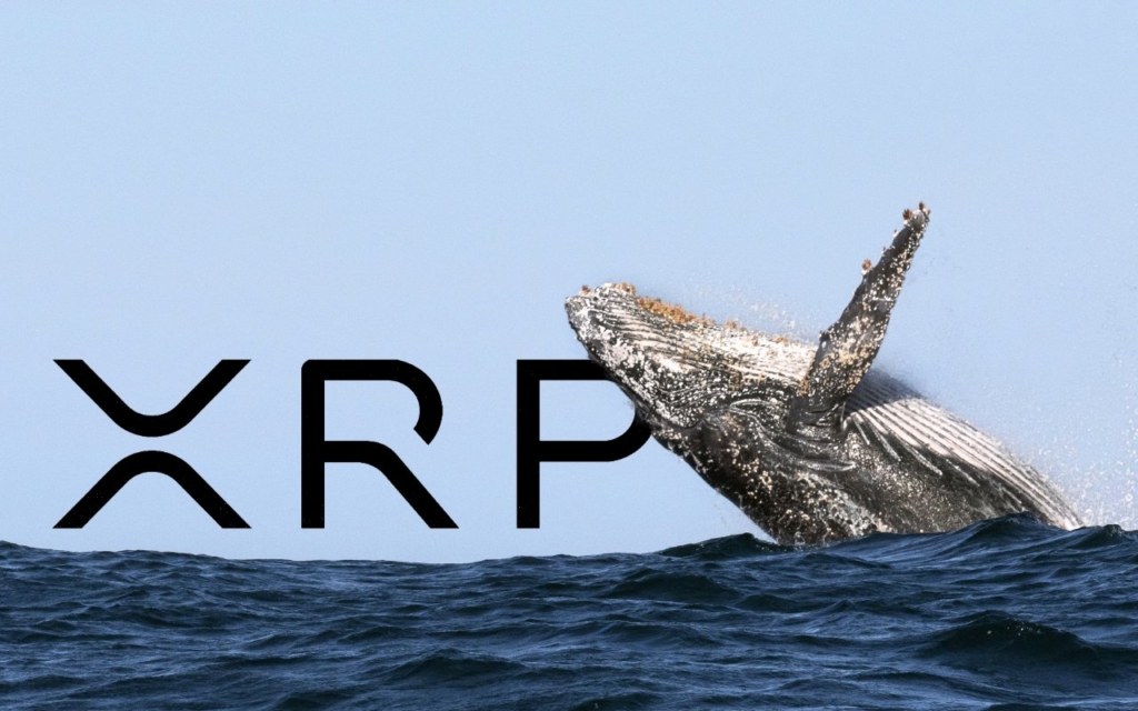 Ripple (XRP) Balinası, Borsadan 10 Milyon Token Çekti