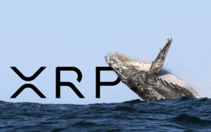 Ripple (XRP) Balinası, Borsadan 10 Milyon Token Çekti