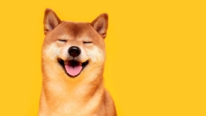 SHIB, DOGE ve FLOKI Yatırımcılarına Müjde: Bu Şirket Ekliyor!