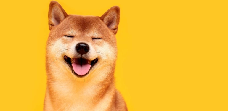 SHIB, DOGE ve FLOKI Yatırımcılarına Müjde: Bu Şirket Ekliyor!