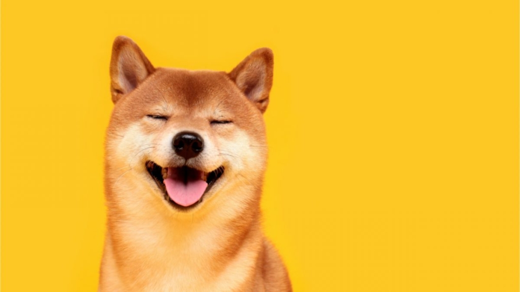 Shiba Coin Durdurulamıyor: SHIB Bir Dev Borsaya Daha Girdi!