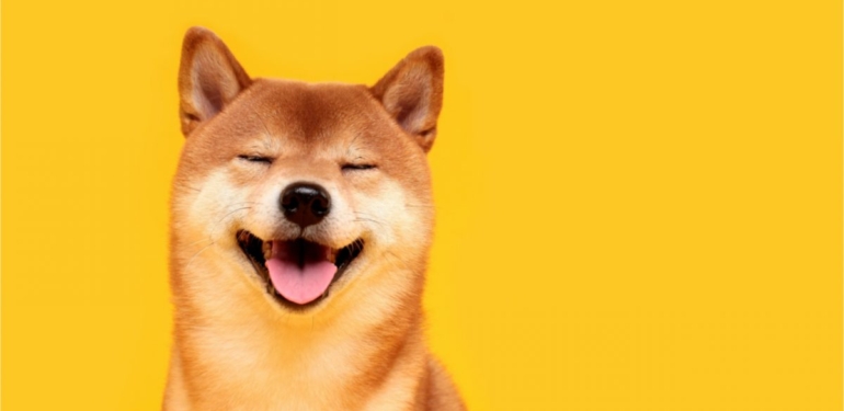 shiba-coin-durdurulamiyor-shib-bir-dev-borsaya-daha-girdi - Crypto Turkey Shiba Coin Durdurulamıyor: SHIB Bir Dev Borsaya Daha Girdi!