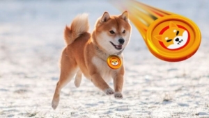 Shiba ekibi dolandırıcık uyarısı yaptı