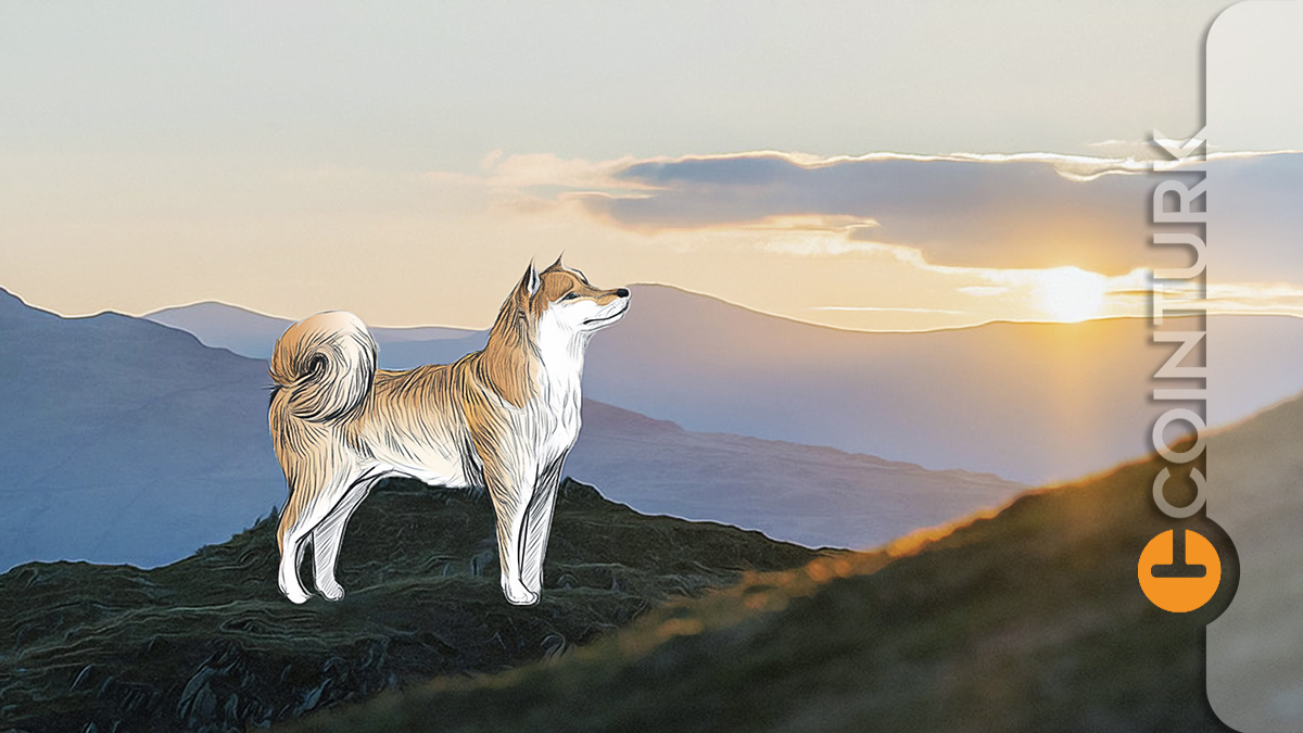 Shiba Inu Değerlendirmesi: SHIB Yönü Yeniden Yukarı Çevirebilir Mi?