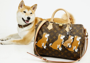 Shiba Inu Dünyaya Yayılıyor: SHIB Ünlü Borsaya Geliyor!