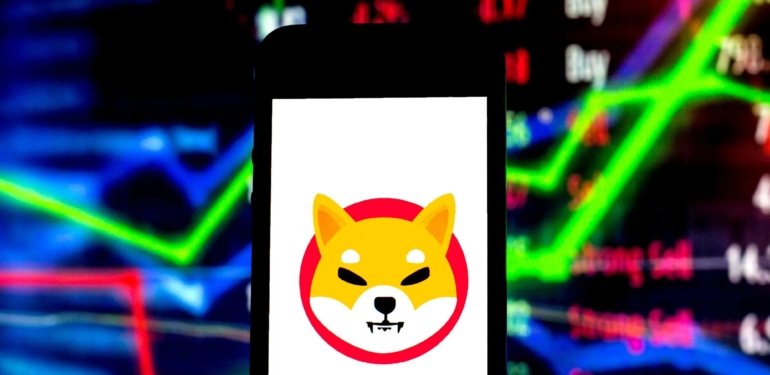 shiba-inu-shib-arzinin-yuzde-51-ine-kim-sahip-iste-cevabi - Crypto Turkey Shiba Inu (SHIB) Arzının Yüzde 51’ine Kim Sahip? İşte Cevabı!