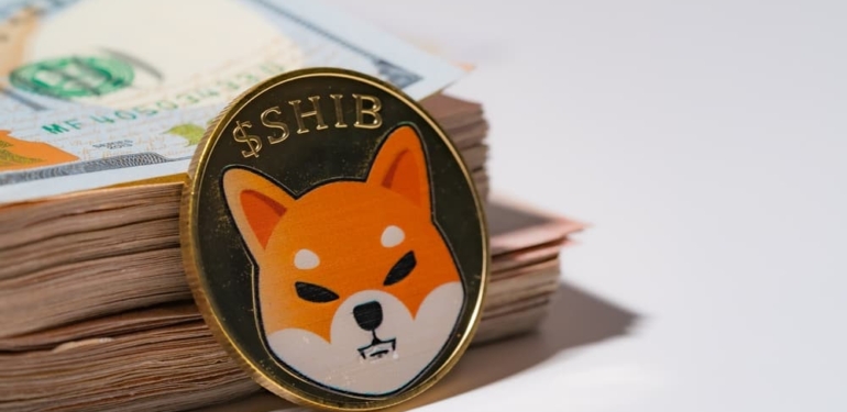 shiba-inu-shib-ath-sinden-40-oraninda-uzakta - Crypto Turkey Shiba Inu (SHIB) ATH’sinden %40 Oranında Uzakta!