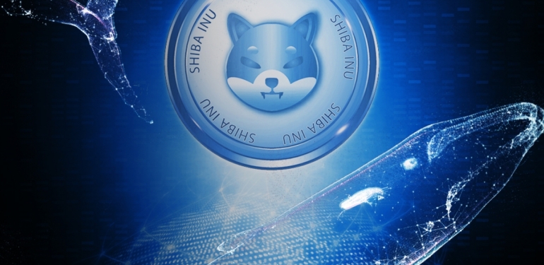 shiba-inu-shib-da-ilginc-balina-hareketleri-islemler-durdu - Crypto Turkey Shiba Inu (SHIB)’da İlginç Balina Hareketleri: İşlemler Durdu!