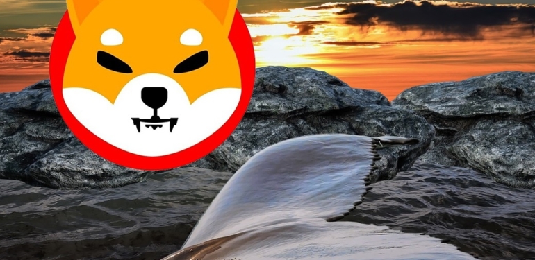 shiba-inu-shib-dan-balina-rekoru-2-3-milyar-dolar-goruldu - Crypto Turkey Shiba Inu (SHIB)’dan Balina Rekoru: 2,3 Milyar Dolar Görüldü!