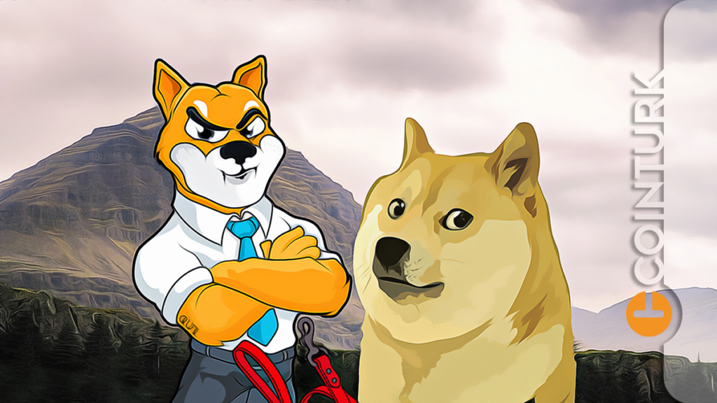 Shiba Inu (SHIB), Dogecoin (DOGE) Karşısında Güçlenmeye Devam Ediyor