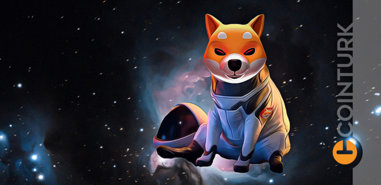 Shiba Inu (SHIB) Ne Zaman Yükselecek! İşte 2022 SHIB Hedefleri