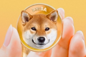 Shiba Inu (SHIB) Twitter Hesabı Gizemli Video Yayınladı, Ne Anlama Geliyor?