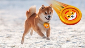 Shiba Inu Yatırımcılarına Müjde: SHIB Bu Haberle Sıçradı!