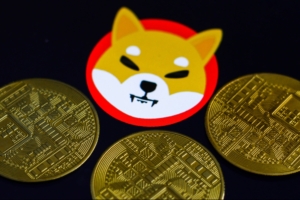 Shiba Inu Yatırımcılarına Müjde: SHIB Ünlü Platforma Girdi!