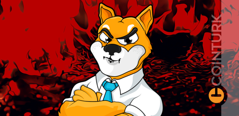 tesla-shiba-inu-shib-kabul-etmeye-mi-basliyor - Crypto Turkey Tesla, Shiba Inu (SHIB) Kabul Etmeye Mi Başlıyor?