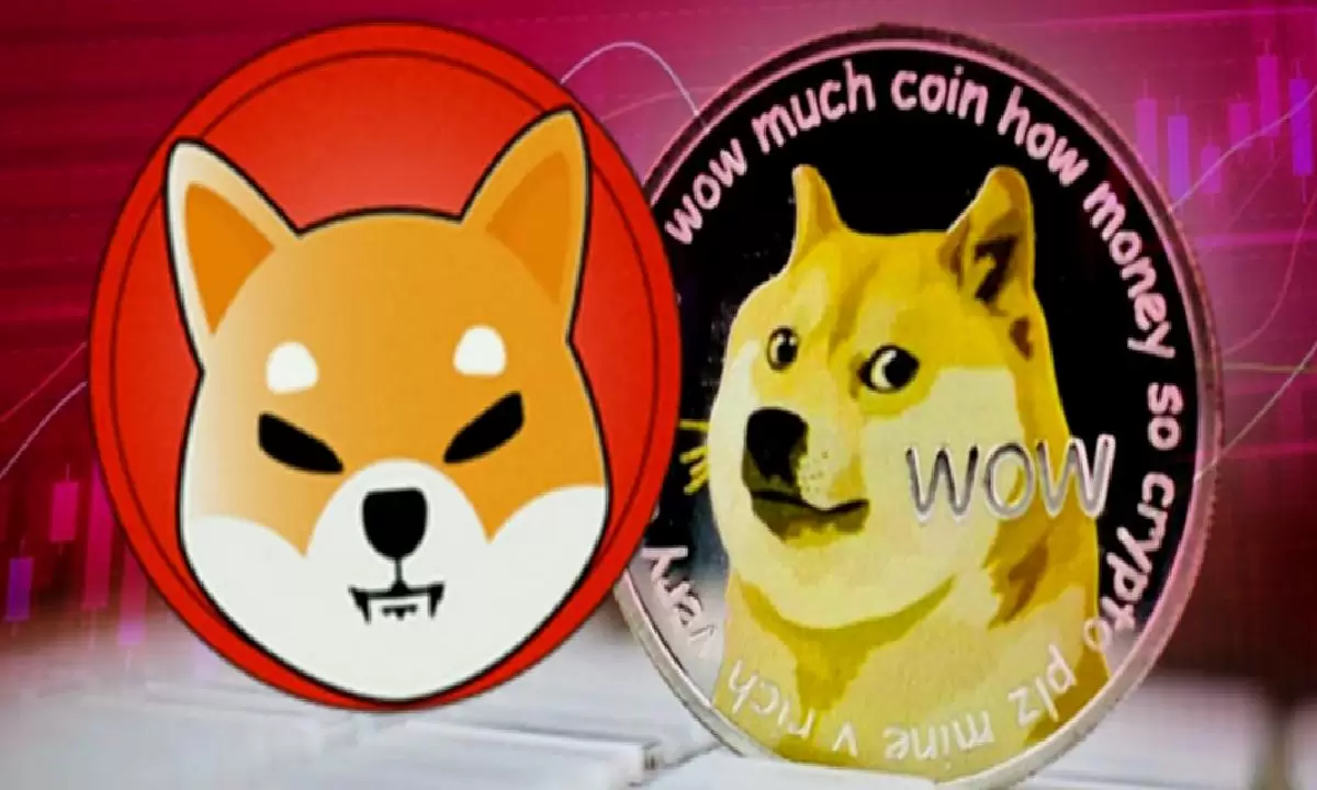 Ünlü Milyoner Dogecoin Ve Shiba Inu’nun Boğa Deseni Oluşturduğunu Söylüyor!