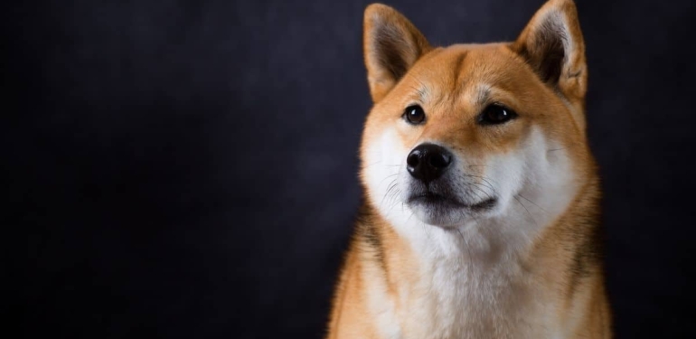 abd-deki-toplantida-bomba-doge-bitcoin-ve-eth-aciklamalari - Crypto Turkey ABD’deki Toplantıda Bomba DOGE, Bitcoin ve ETH Açıklamaları!