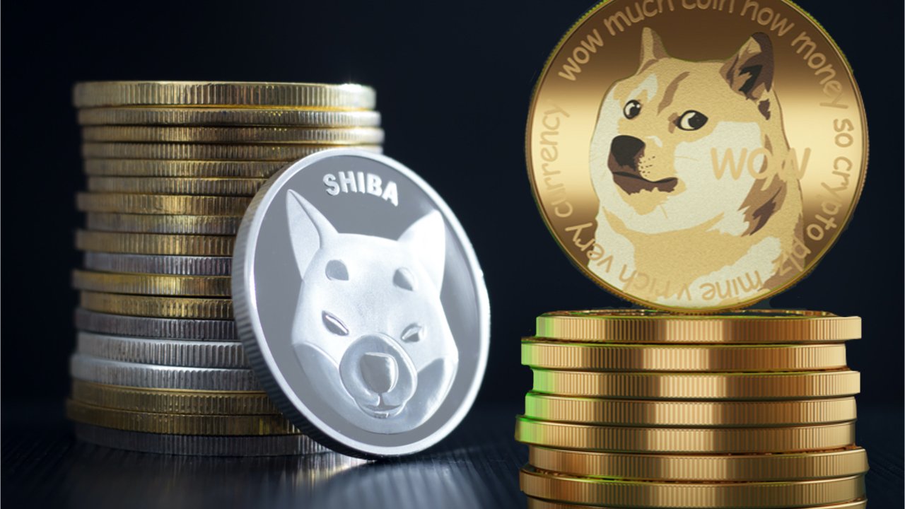 Analist: Shiba Inu ve DOGE Şimdi Bu Seviyeleri Görebilir!