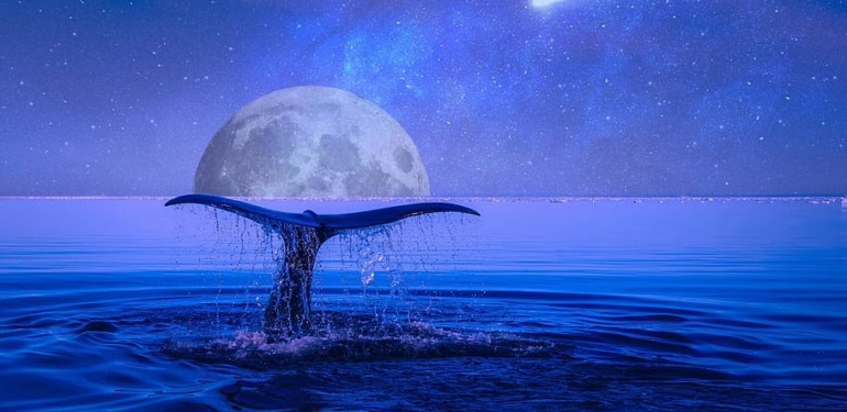 Bir Mega Balina, Bu Altcoin’den Aldı! Analist: ATH’ye Gidiyoruz