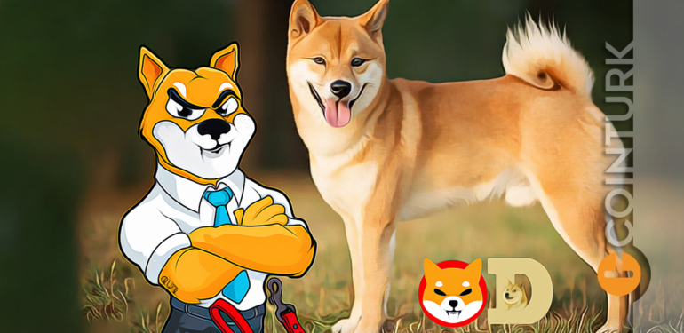 dogecoin-doge-herkesi-sasirtabilir-shiba-inu-shib-2022-fiyat-tahmini - Crypto Turkey Dogecoin (DOGE) Herkesi Şaşırtabilir! Shiba Inu (SHIB) 2022 Fiyat Tahmini!