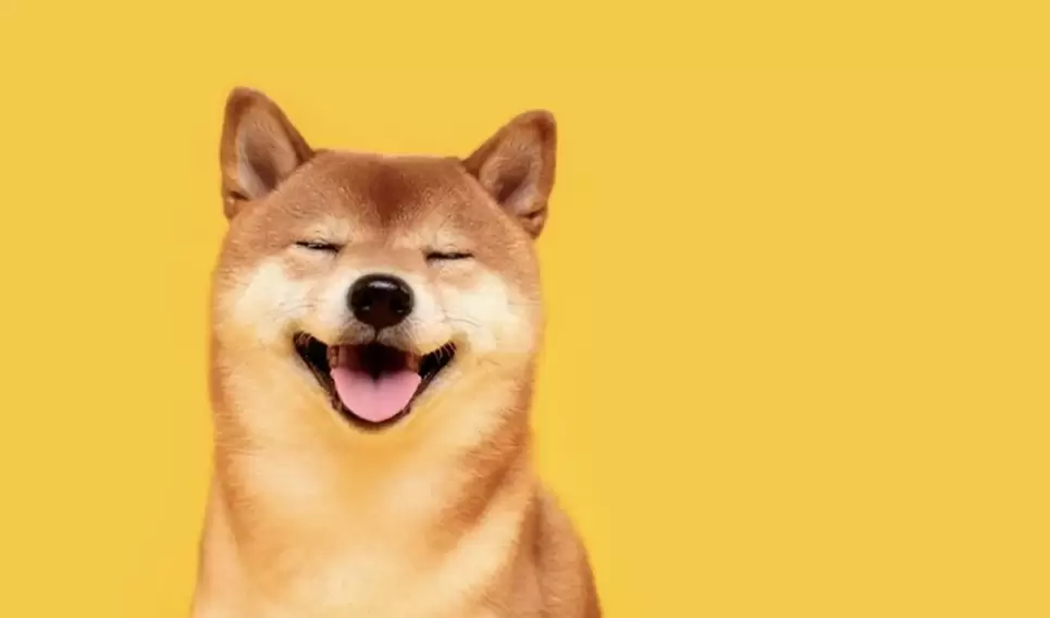 “Dogecoin Killer” Shiba Inu Bize Kripto Para Piyasası Hakkında Ne Öğretti?