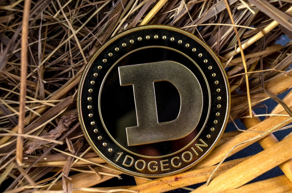 Dogecoin Milyoneri, Satın Aldığı Yeni Altcoin’i Duyurdu!