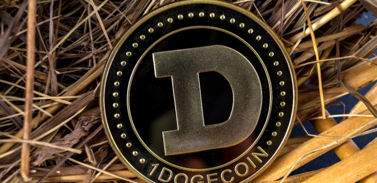 dogecoin-milyoneri-satin-aldigi-yeni-altcoin-i-duyurdu - Crypto Turkey Dogecoin Milyoneri, Satın Aldığı Yeni Altcoin’i Duyurdu!