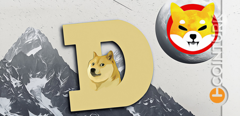 dogecoin-ve-shiba-inu-yukseliyor-shib-doge-u-geride-birakti - Crypto Turkey Dogecoin ve Shiba Inu Yükseliyor: SHIB, DOGE’u Geride Bıraktı!