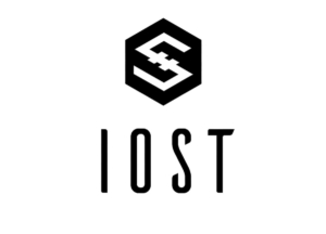 IOST Coin nedir? IOST projesi ve geleceği hakkında bilinmesi gerekenler