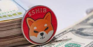 Kasım Ayında Yaklaşık 2 Milyar Shiba Inu (SHIB) Yakıldı