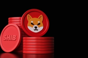 Shiba Inu’da (SHIB) 211 milyonluk yeni yakım geliyor