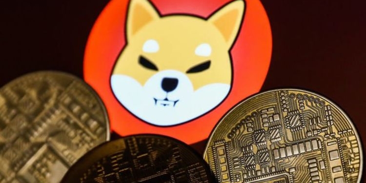 shiba-inu-onemli-duyuruyu-yapti-bu-altcoin-kullanilacak - Crypto Turkey Shiba Inu Önemli Duyuruyu Yaptı: Bu Altcoin Kullanılacak!