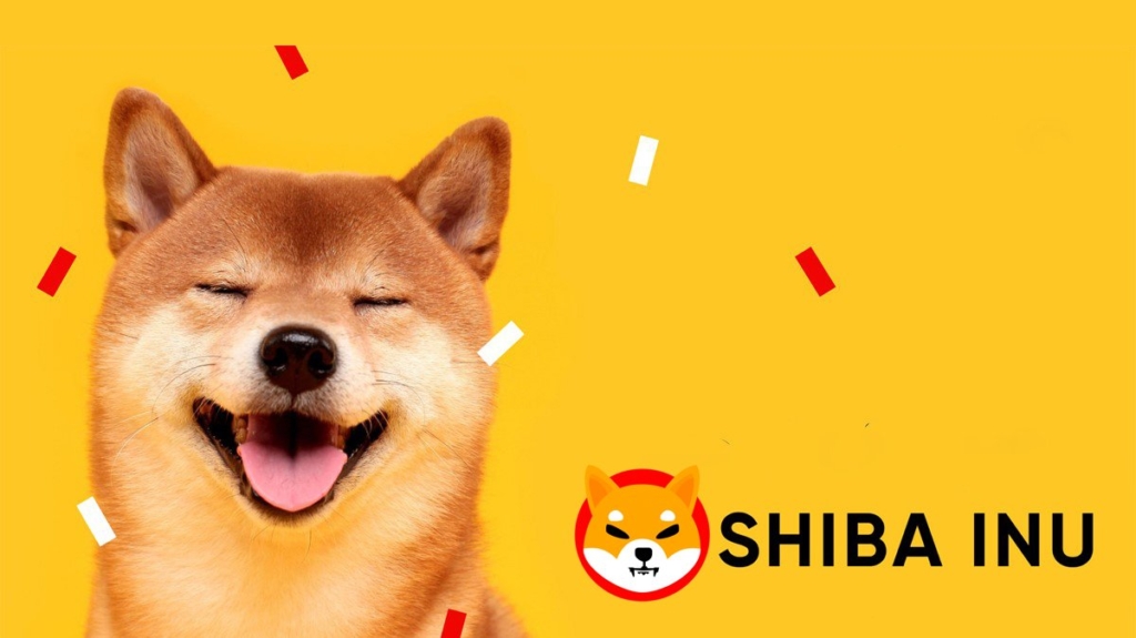 Shiba Inu (SHIB), 2021’nin En Çok Görüntülenen Kripto Para Birimi Oldu