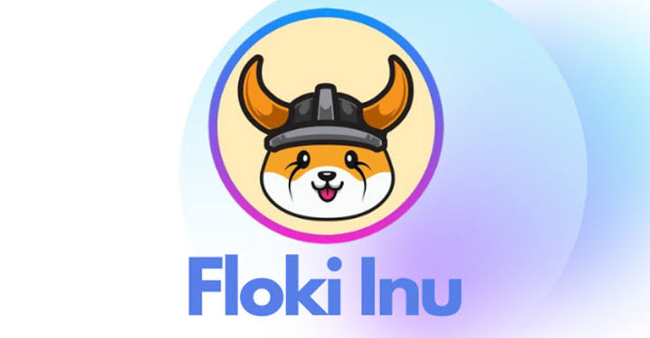 shiba-inu-shib-ve-dogecoin-doge-rakibini-bir-borsa-daha-listeliyor - Crypto Turkey Shiba Inu (SHIB) ve Dogecoin (DOGE) Rakibini Bir Borsa Daha Listeliyor!