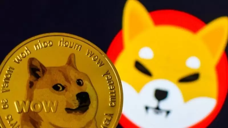 Ünlü Yardım Vakfı Shiba Inu (SHIB) ve Dogecoin (DOGE) İle Bağış Kabul Edecek!