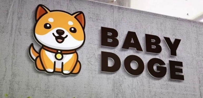 Baby Doge, BSC’de En Çok İşlem Gören Kripto Paralar Arasında İlk Sırada Yer Aldı