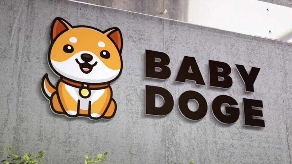 BabyDoge 1.242.265 Sahip Sayısına Ulaştı