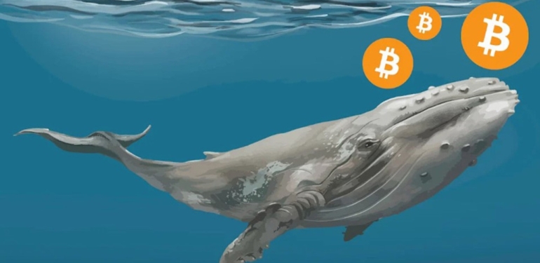 balinalar-bitcoin-lerini-satiyor-piyasada-neler-yasaniyor - Crypto Turkey Balinalar, Bitcoin’lerini Satıyor! Piyasada Neler Yaşanıyor?