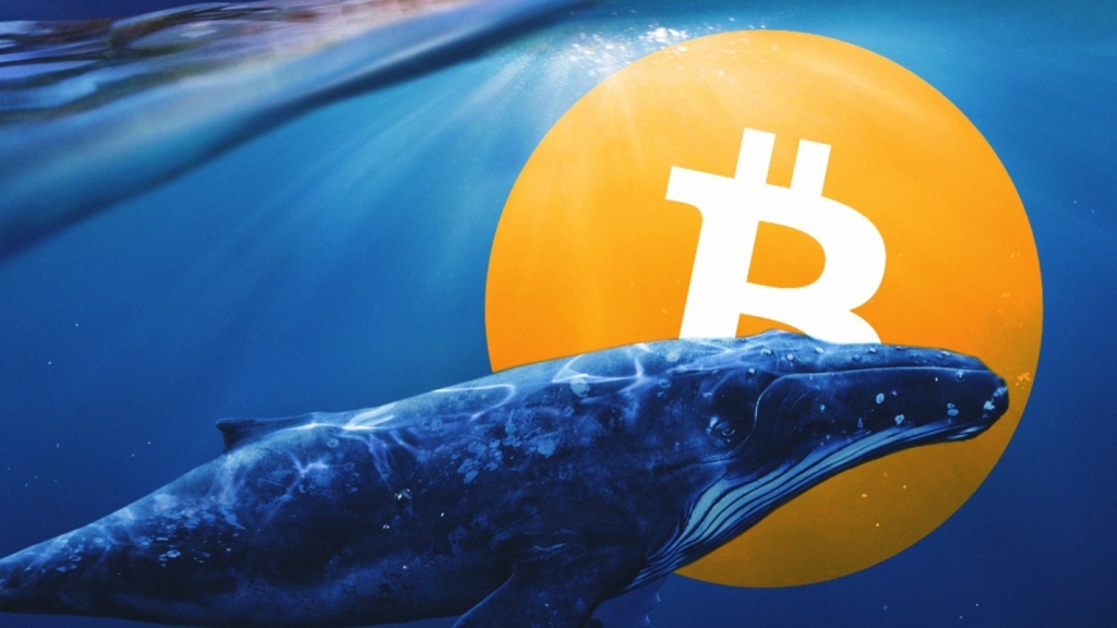 Balinalar, Son 5 Yılda Cüzdanlarına 1,7 Milyonluk Bitcoin (BTC) Ekledi